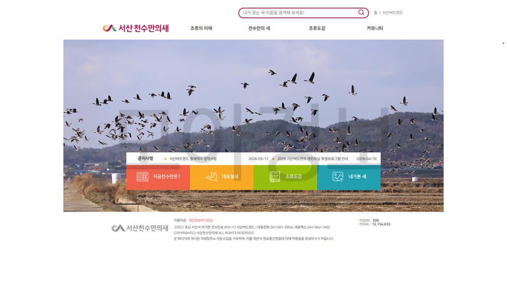 천수만의 새